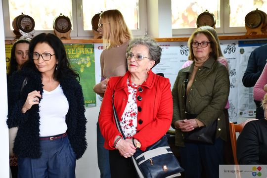 Sztuka ludowa w Krasnymstawie. „Kraski i pająki” w muzeum [GALERIA ZDJĘĆ] 