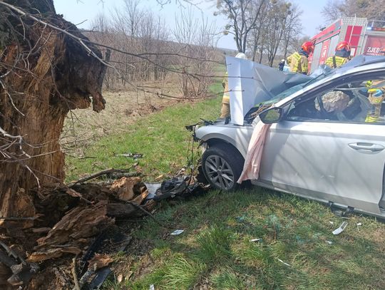 Skoda uderzyła w drzewo. Jedna osoba trafiła do szpitala [ZDJĘCIA]
