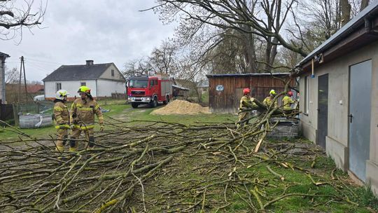 Krajobraz po burzy. Zerwane dachy, powalone drzewa. Strażacy w akcji [ZDJĘCIA]