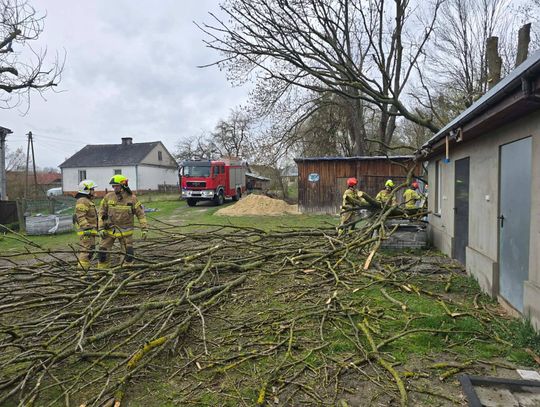 Krajobraz po burzy. Zerwane dachy, powalone drzewa. Strażacy w akcji [ZDJĘCIA]