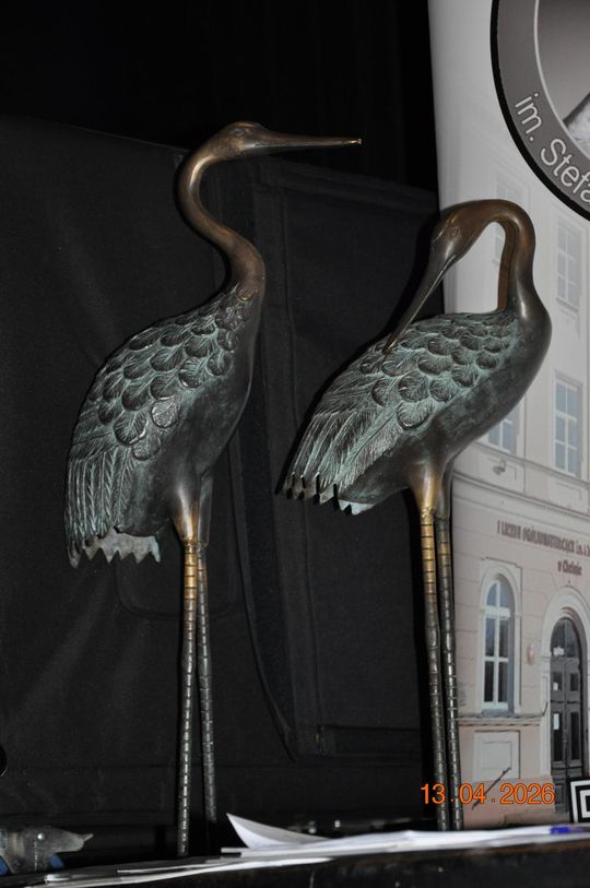 Chełm. "Bezpieczeństwo na drodze zalezy ode mnie" [GALERIA ZDJĘĆ]