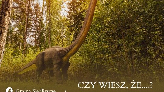 Gm. Siedliszcze. Kosmiczna tajemnica Lechówki. Lokalny ślad zagłady dinozaurów [ZDJĘCIA]