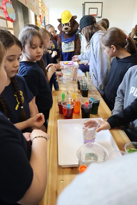 Gm. Sawin. Piknik pod hasłem „Dzień Naukowca w Bukowie Wielkiej – Barwy Nauki” za nami [GALERIA ZDJĘĆ]