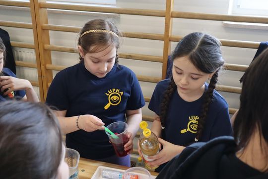 Gm. Sawin. Piknik pod hasłem „Dzień Naukowca w Bukowie Wielkiej – Barwy Nauki” za nami [GALERIA ZDJĘĆ]