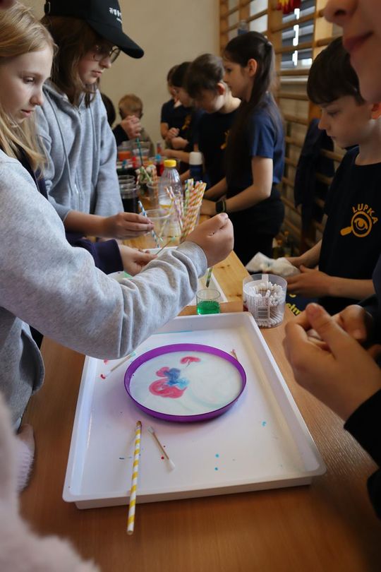 Gm. Sawin. Piknik pod hasłem „Dzień Naukowca w Bukowie Wielkiej – Barwy Nauki” za nami [GALERIA ZDJĘĆ]