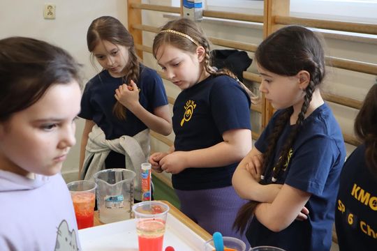 Gm. Sawin. Piknik pod hasłem „Dzień Naukowca w Bukowie Wielkiej – Barwy Nauki” za nami [GALERIA ZDJĘĆ]