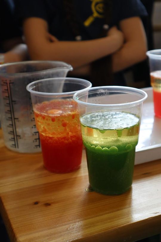 Gm. Sawin. Piknik pod hasłem „Dzień Naukowca w Bukowie Wielkiej – Barwy Nauki” za nami [GALERIA ZDJĘĆ]