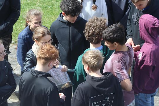 Gm. Sawin. Piknik pod hasłem „Dzień Naukowca w Bukowie Wielkiej – Barwy Nauki” za nami [GALERIA ZDJĘĆ]