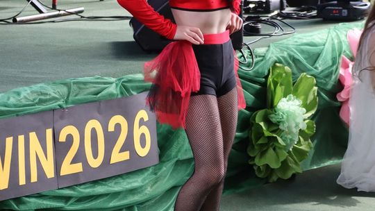 Finał II Powiatowego Przeglądu Młodych Talentów w Zespole Szkół w Sawinie [GALERIA ZDJĘĆ]