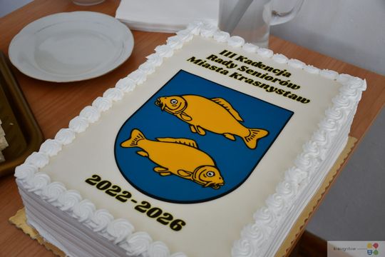 Krasnystaw. Misja wykonana. Podsumowanie III kadencji Rady Seniorów [GALERIA ZDJĘĆ]