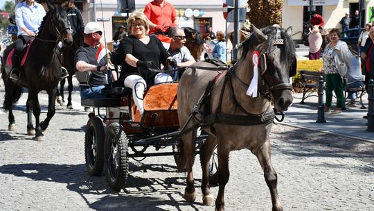 III Majowa Parada Zaprzęgów i Jeźdźców przeszła ulicami Krasnegostawu. Trwa piknik rodzinny [GALERIA ZDJĘĆ]