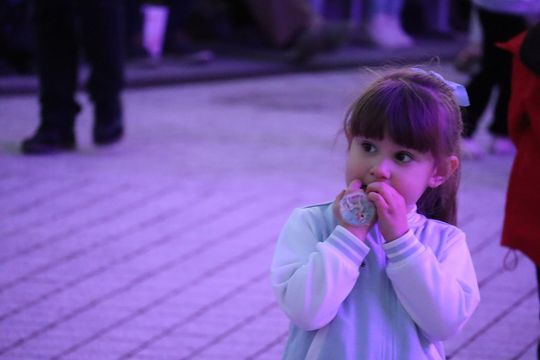 Mała Armia Janosika na chełmskiej scenie [GALERIA ZDJĘĆ]