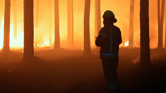 Wielki pożar lasu na pograniczu gmin Józefów i Łukowa. Z ogniem walczy 60 zastępów straży pożarnej [ZDJĘCIA]