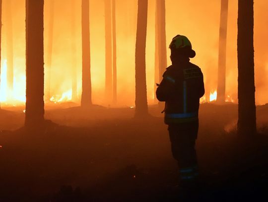 Wielki pożar lasu na pograniczu gmin Józefów i Łukowa. Z ogniem walczy 60 zastępów straży pożarnej [ZDJĘCIA]