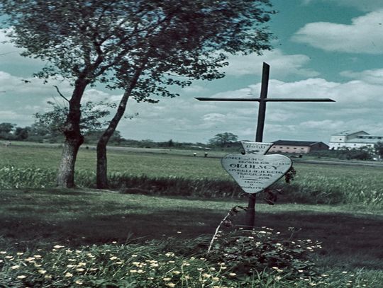 Najstarsze kolorowe fotografie Chełma [GALERIA ZDJĘĆ]