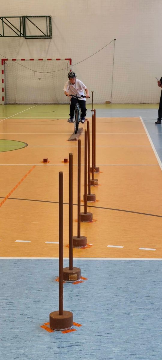 Gm. Krasnystaw. Podwójny triumf „Trójki”. Uczniowie najlepsi w wojewódzkim finale BRD [GALERIA ZDJĘĆ] 