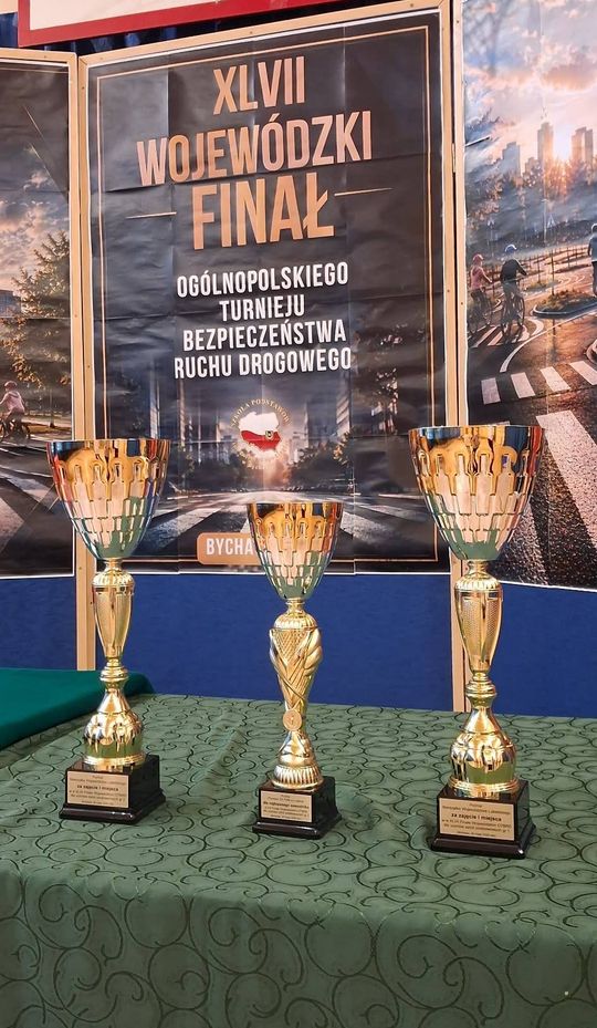 Gm. Krasnystaw. Podwójny triumf „Trójki”. Uczniowie najlepsi w wojewódzkim finale BRD [GALERIA ZDJĘĆ] 