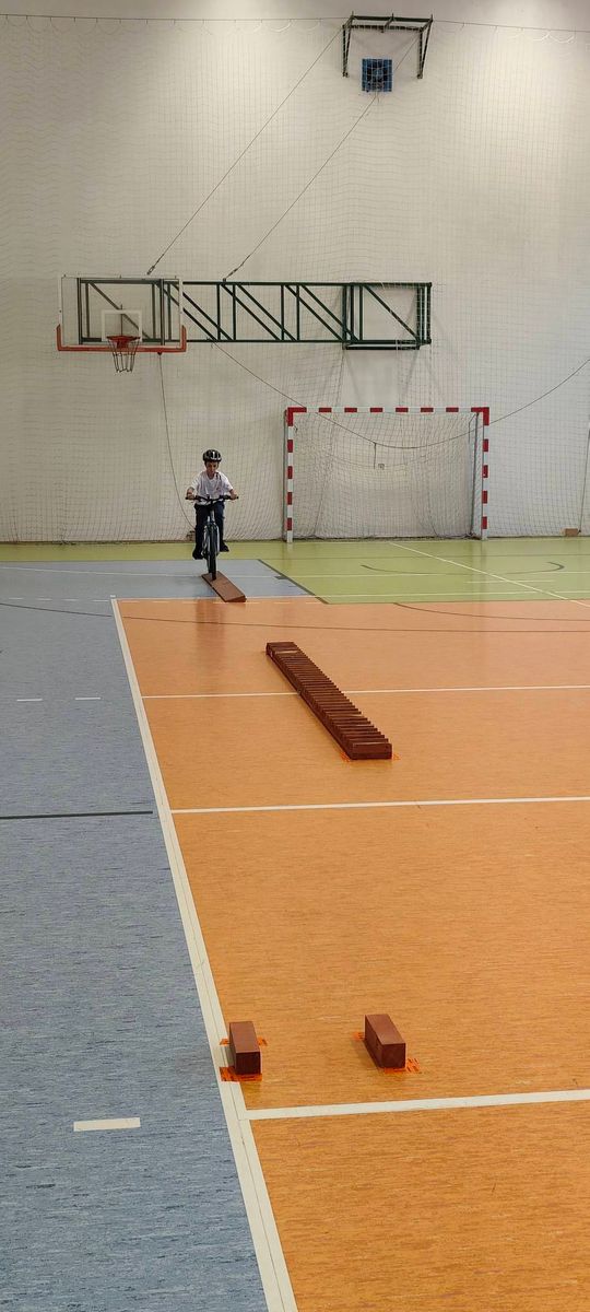 Gm. Krasnystaw. Podwójny triumf „Trójki”. Uczniowie najlepsi w wojewódzkim finale BRD [GALERIA ZDJĘĆ] 