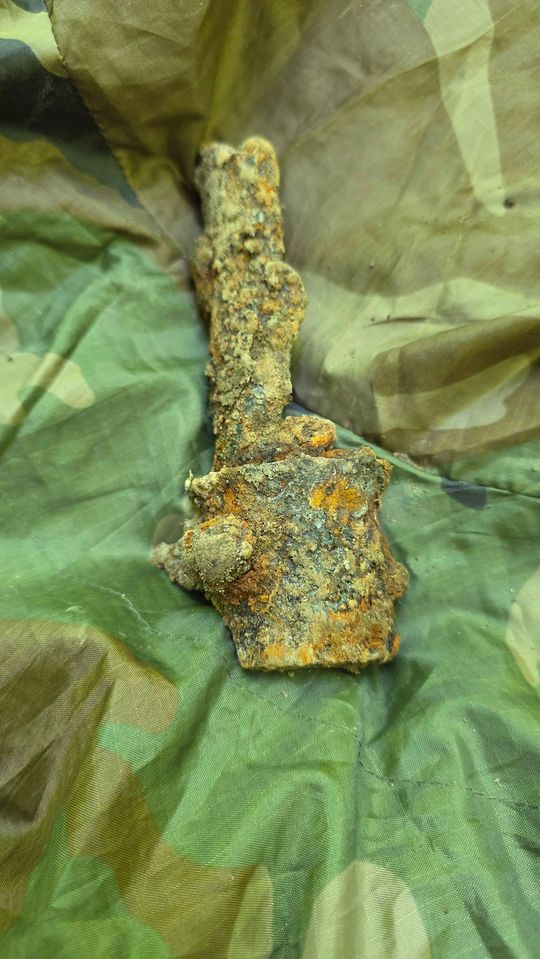 Gm. Izbica. Ślady wojennego bombowca w Lesie Orłowskim. Poszukiwacze odkrywają historię katastrofy z 1944 roku [GALERIA ZDJĘĆ]