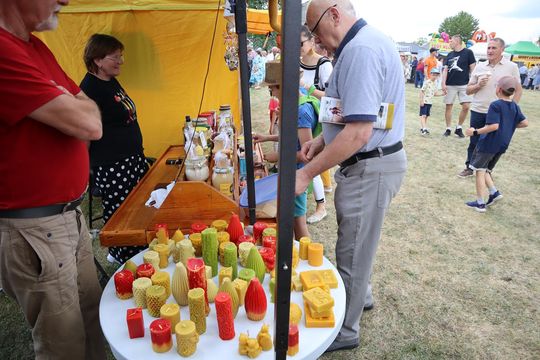 Gm. Chełm. Nadbużańskie Święto Pszczoły w Okszowie [GALERIA ZDJĘĆ]