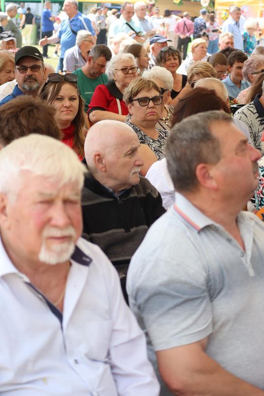 Gm. Chełm. Nadbużańskie Święto Pszczoły w Okszowie [GALERIA ZDJĘĆ]