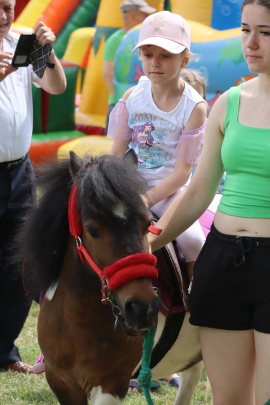 Gm. Chełm. Nadbużańskie Święto Pszczoły w Okszowie [GALERIA ZDJĘĆ]