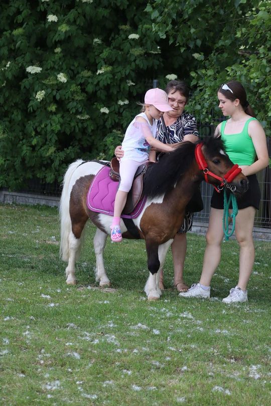 Gm. Chełm. Nadbużańskie Święto Pszczoły w Okszowie [GALERIA ZDJĘĆ]