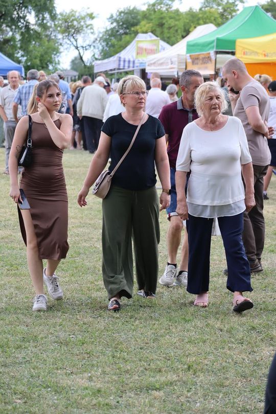 Gm. Chełm. Nadbużańskie Święto Pszczoły w Okszowie [GALERIA ZDJĘĆ]