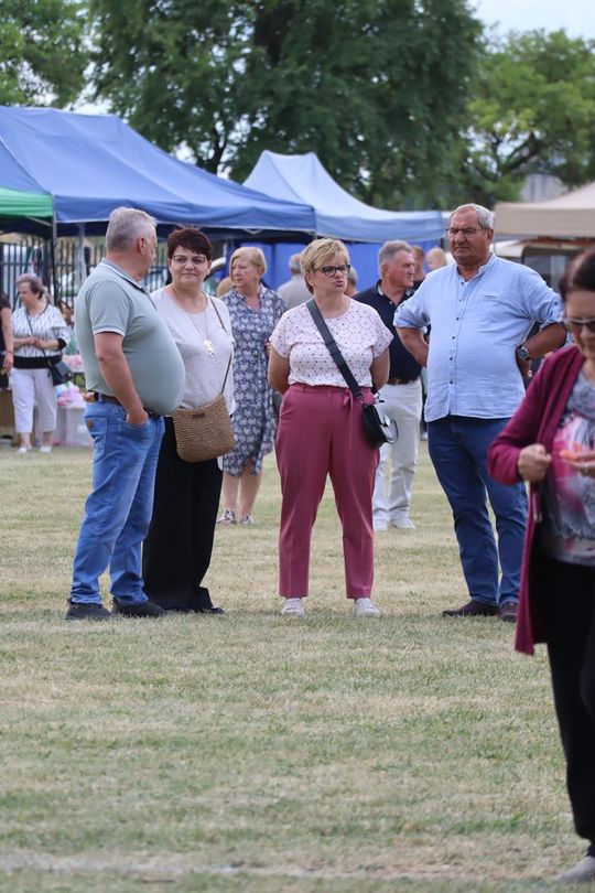 Gm. Chełm. Nadbużańskie Święto Pszczoły w Okszowie [GALERIA ZDJĘĆ]
