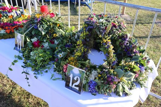 Gm. Dorohusk.  Nadbużańska Noc Świętojańska w Świerżach już za nami [GALERIA ZDJĘĆ]