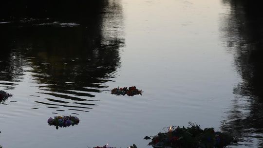Gm. Dorohusk.  Nadbużańska Noc Świętojańska w Świerżach już za nami [GALERIA ZDJĘĆ]