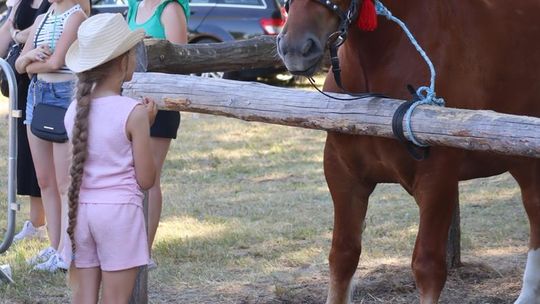 Gm. Ruda-Huta. Powiatowy Dzień Konia Zimnokrwistego [GALERIA ZDJĘĆ]