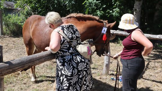 Gm. Ruda-Huta. Powiatowy Dzień Konia Zimnokrwistego [GALERIA ZDJĘĆ]