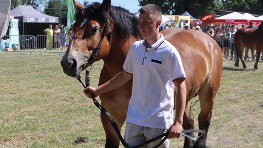 Gm. Ruda-Huta. Powiatowy Dzień Konia Zimnokrwistego [GALERIA ZDJĘĆ]