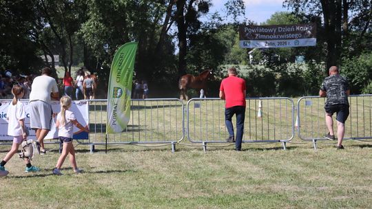Gm. Ruda-Huta. Powiatowy Dzień Konia Zimnokrwistego [GALERIA ZDJĘĆ]