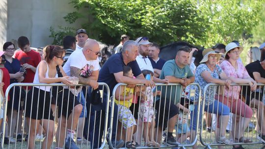 Gm. Ruda-Huta. Powiatowy Dzień Konia Zimnokrwistego [GALERIA ZDJĘĆ]