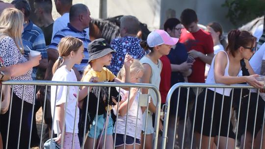 Gm. Ruda-Huta. Powiatowy Dzień Konia Zimnokrwistego [GALERIA ZDJĘĆ]