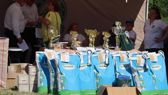 Gm. Ruda-Huta. Powiatowy Dzień Konia Zimnokrwistego [GALERIA ZDJĘĆ]