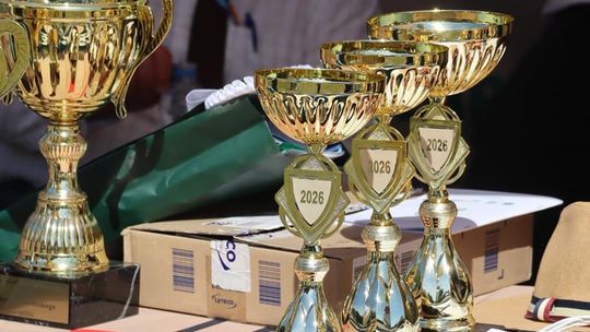 Gm. Ruda-Huta. Powiatowy Dzień Konia Zimnokrwistego [GALERIA ZDJĘĆ]