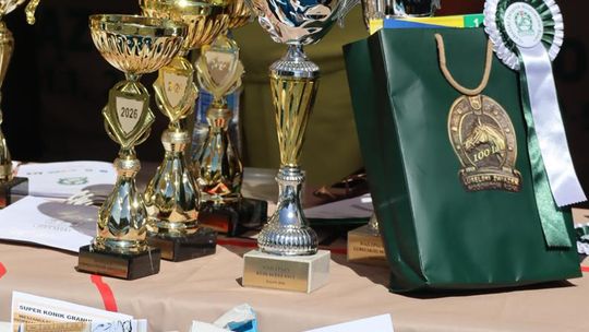 Gm. Ruda-Huta. Powiatowy Dzień Konia Zimnokrwistego [GALERIA ZDJĘĆ]