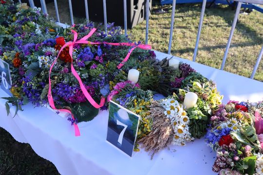 Gm. Dorohusk.  Nadbużańska Noc Świętojańska w Świerżach już za nami [GALERIA ZDJĘĆ]