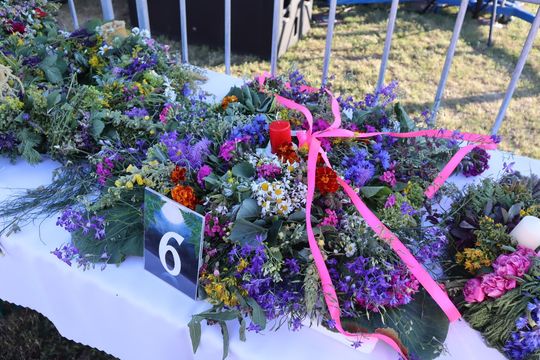 Gm. Dorohusk.  Nadbużańska Noc Świętojańska w Świerżach już za nami [GALERIA ZDJĘĆ]