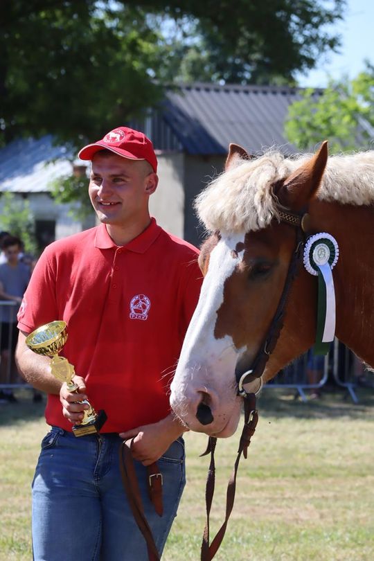 Gm. Ruda-Huta. Powiatowy Dzień Konia Zimnokrwistego [GALERIA ZDJĘĆ]