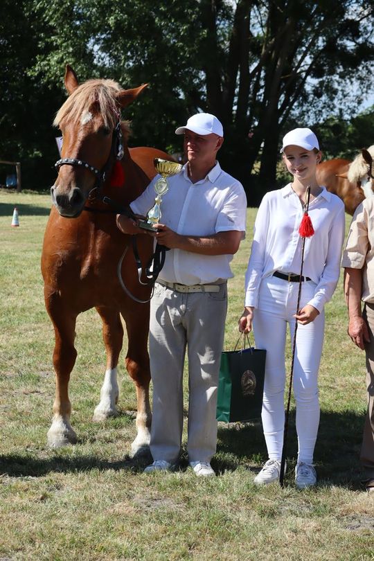 Gm. Ruda-Huta. Powiatowy Dzień Konia Zimnokrwistego [GALERIA ZDJĘĆ]