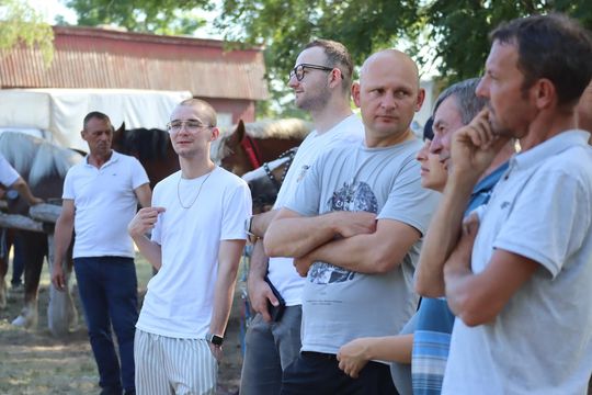 Gm. Ruda-Huta. Powiatowy Dzień Konia Zimnokrwistego [GALERIA ZDJĘĆ]