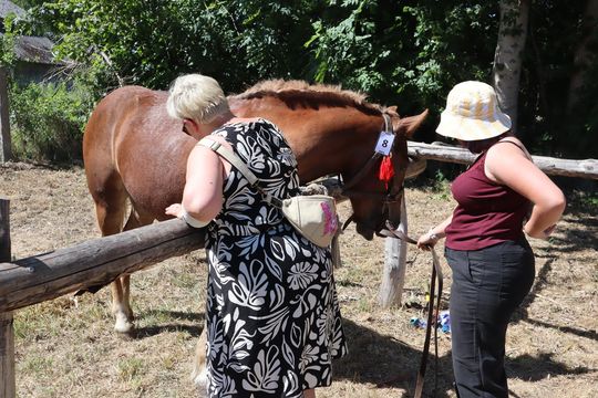 Gm. Ruda-Huta. Powiatowy Dzień Konia Zimnokrwistego [GALERIA ZDJĘĆ]