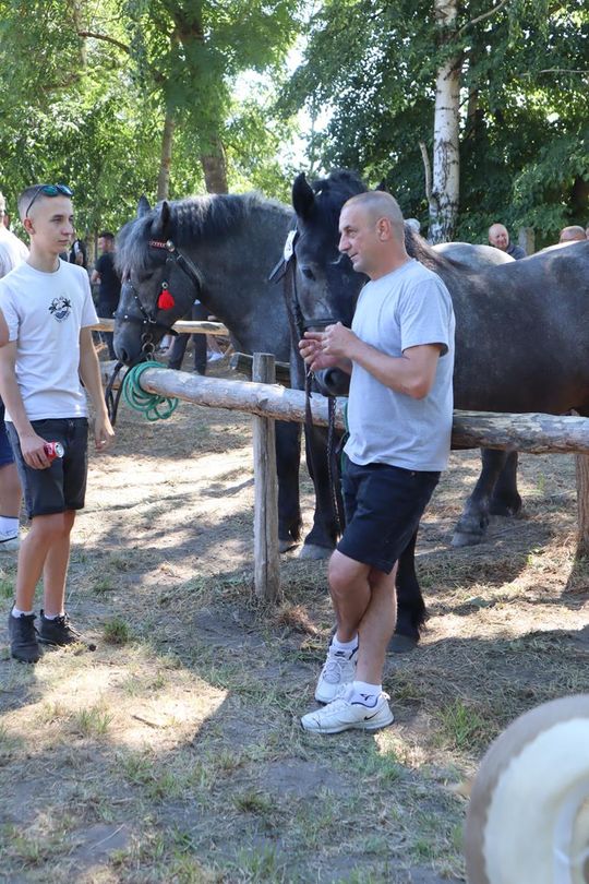 Gm. Ruda-Huta. Powiatowy Dzień Konia Zimnokrwistego [GALERIA ZDJĘĆ]