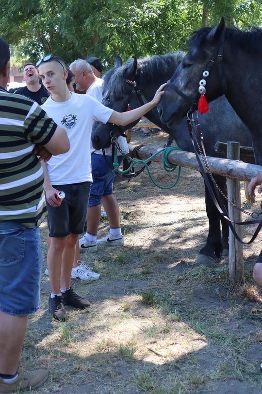 Gm. Ruda-Huta. Powiatowy Dzień Konia Zimnokrwistego [GALERIA ZDJĘĆ]