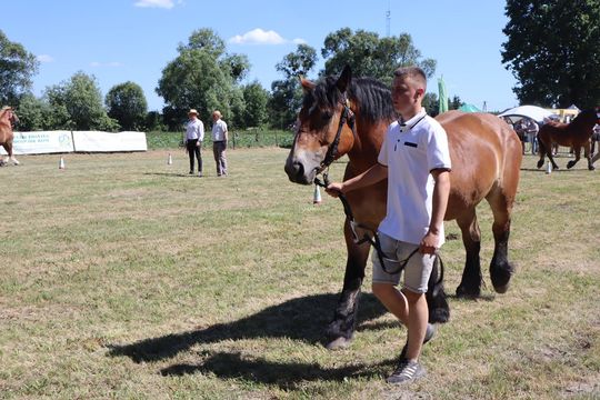 Gm. Ruda-Huta. Powiatowy Dzień Konia Zimnokrwistego [GALERIA ZDJĘĆ]