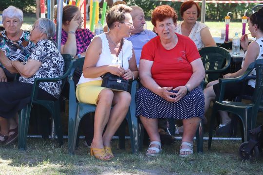 Gm. Ruda-Huta. Powiatowy Dzień Konia Zimnokrwistego [GALERIA ZDJĘĆ]